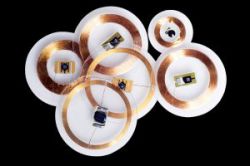IDTRONIC DT-PET-ICSLI-20