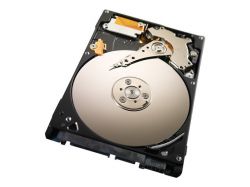 SEAGATE ST320LM010