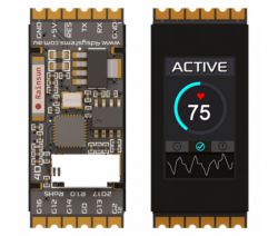 4D SYSTEMS IoD-09SM