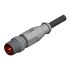 AMPH IPG 43-10488