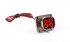 AMPH IPG PL084X-41-2.5