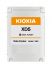 KIOXIA KXD51RUE960G