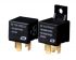 NF FORWARD NF104001E12S1D