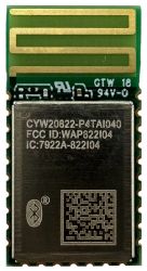 INFINEON SP005963587