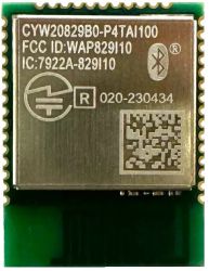 INFINEON SP005970282